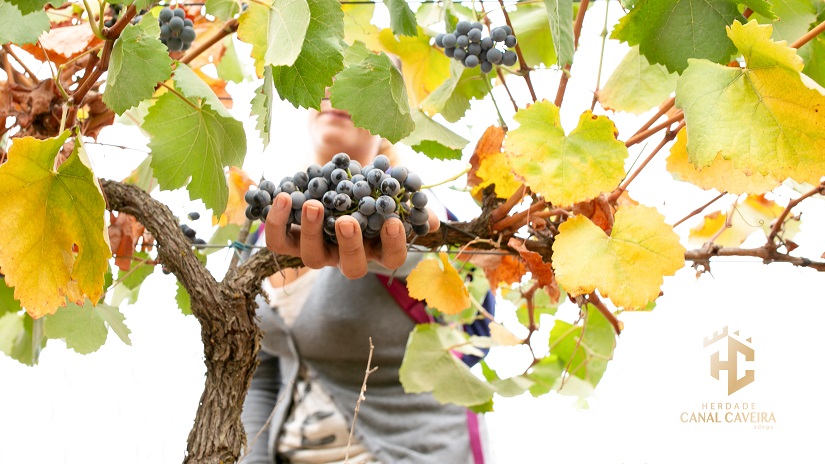 Prova Serra Brava - Herdade Canal Caveira