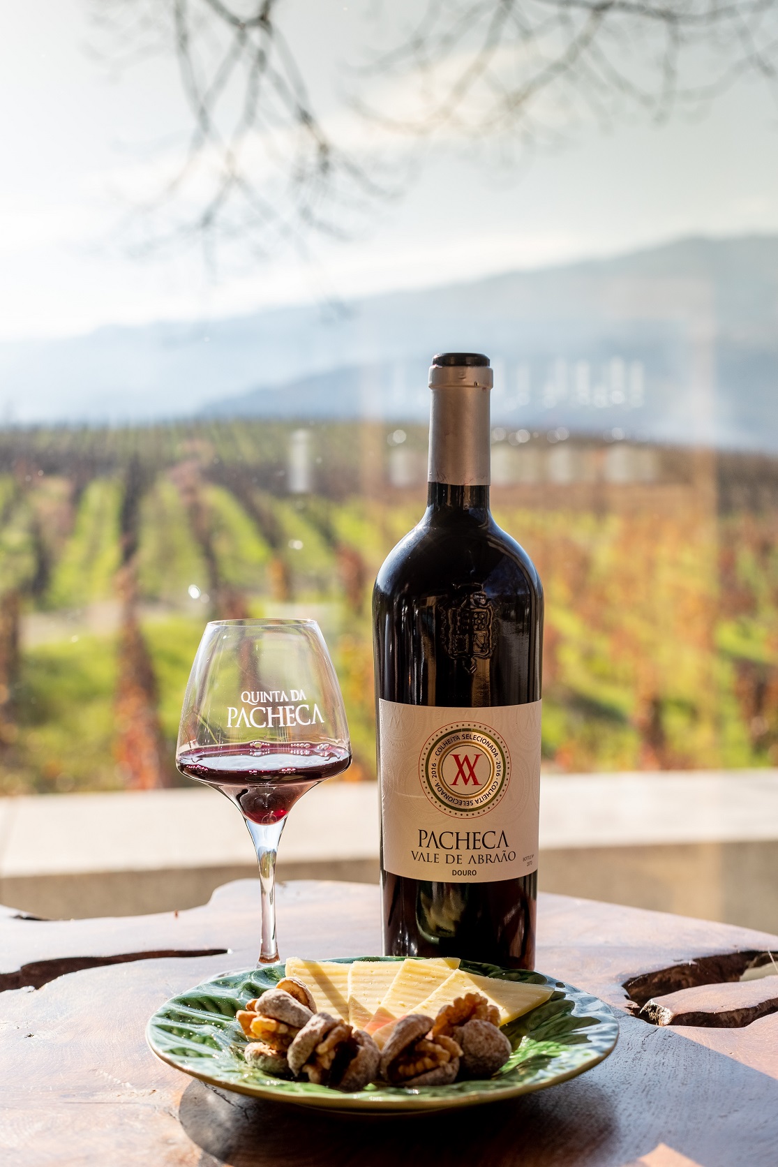 Visita Guiada + Prova de vinhos - Quinta Pacheca