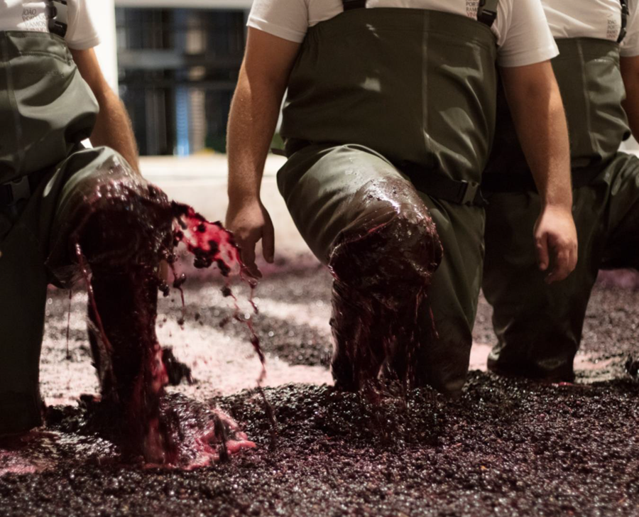 Vindimas - João Portugal Ramos