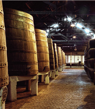 Visita Porto Ferreira em Caves Ferreira - Sogrape