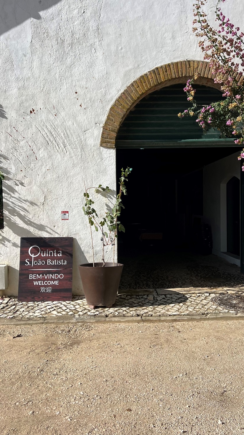Degustação de vinhos e queijos artesanais - Quinta São João Batista